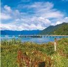 Fish and Chips at Jackson Bay - part 1