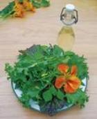 Wonderful Winter Greens