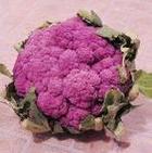 Cauli Power