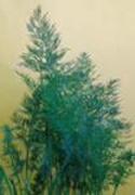 Dill for Frills