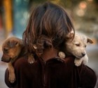 The Health Benefits of Owning A Pet