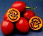 Tamarillo Supreme