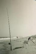 The Recreational Value of Fishing