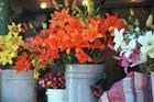 Flowers Work Wonders In Brightening Up Days