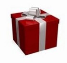 The Top 10 Stupid Gifts for Christmas 2008