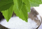 Stevia - A healthy alternative to sugar