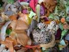 The Bokashi Composting System