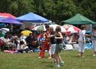 Elvis in the Park 2009