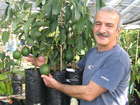 How to Turn Dirt into Green-Gold