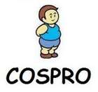 COSPRO Child Obesity Newsletter October 2008