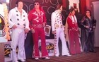 Elvis Down Under 2009 Photos