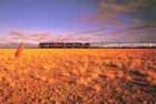 RailPlus NZ Specials