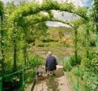 Garden Arbor & Pergola Designs