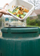 It's All About the Compost
