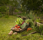 10 Gardening Gift Ideas