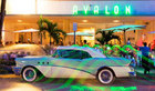 Luxury Travel in Miami