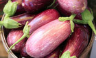 Easy Eggplant Ideas