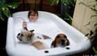 Top Tips for Puppy Proofing your Home