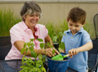 Grandparents as Primary Caregivers