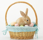 Learn Where The Easter Bunny Comes From?