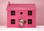 Easy Tips For Travelling With Dogs