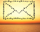 Opening an Alternate E-mail Address