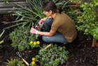 Top 10 Reasons for Looking After Your Garden