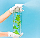Organic Gardening Pesticide For Beginners