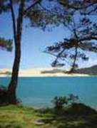 The Saint Coachlines Tours and Charters
