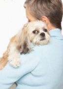 Senior Pet Tips