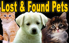 Lost & Found Pets