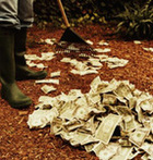 What is your Garden Costing You?