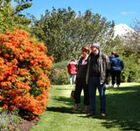 WIN with the Taranaki Rhododendron & Garden Festival! (Oct 29 to Nov 7 2010)