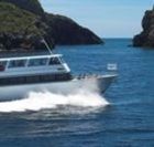 Perfect Day Ocean Cruise- Poor Knight Islands