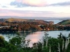 Waiheke Island - The Place To Be!