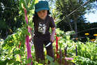 Organic Gardening