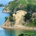 Rotoroa Island
