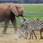 Active Small Group Holidays on Roads Less Travelled
