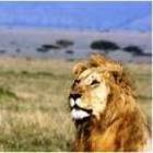 Escorted Journeys to Exotic Destinations