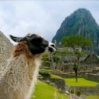 Unique Small Group Journeys to Latin America & Europe