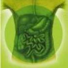 A Healthy Tummy Makes for a Healthy Body