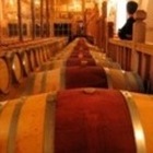 Wine & Food Lovers Tour of Chile and Argentina