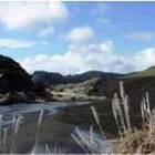 Julie Crean - Free Things To Do In Auckland