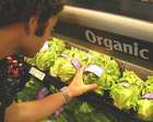 How cheap is Eco-living?