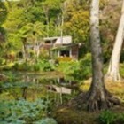 Lyn Potter - New Zealand House and Garden Tours 2012