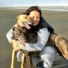 Give a Dog a Home