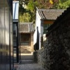 Eco-Savvy China