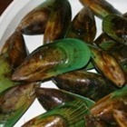 Mussel Power