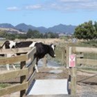 Hauraki Rail Trail - Mission Accomplished