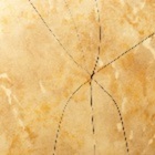 Replacing a Tile